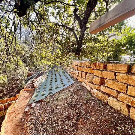 Familiale Avec Vue Imprenable Villa